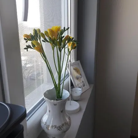 апартамент оскар Apartman