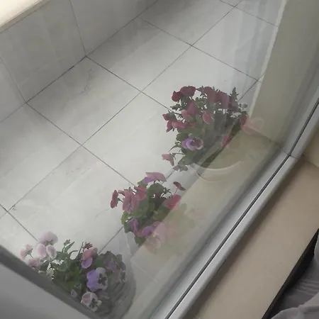 Apartman апартамент оскар Burgasz